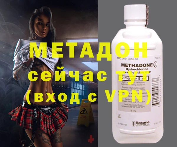 прущие грибы Нея