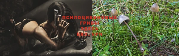 гидра Нефтекумск