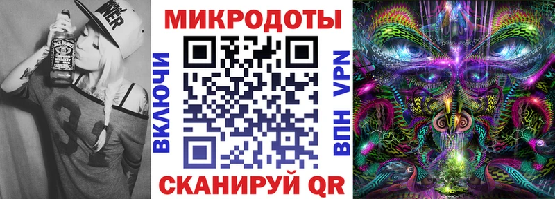 Купить Заполярный Псилоцибиновые грибы Cubensis